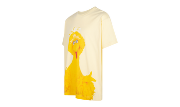 Sesame Street Big Bird Tee 