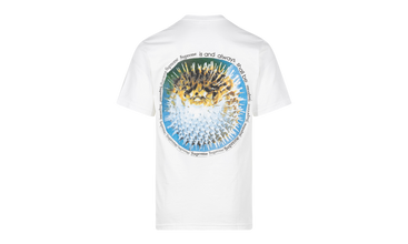 Blowfish Tee 