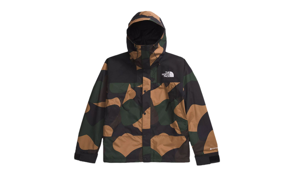 The North Face Mens Gore-Tex Mountain Jacket "CAMO"