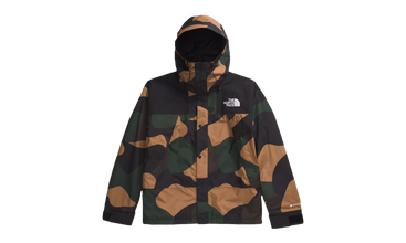 The North Face Mens Gore-Tex Mountain Jacket 