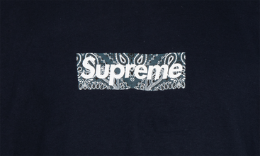 Bandana Box Logo Tee 