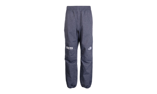 Mens GTX Mountain Pants "NAVY"