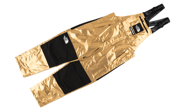 TNF Metallic Mountain Bib Pant 