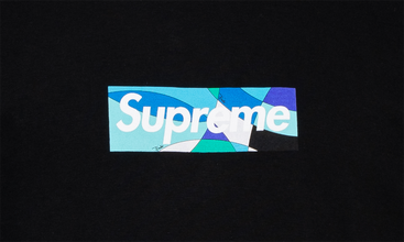 Emilio Pucci Box Logo Tee 