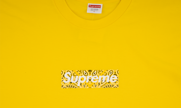 Bandana Box Logo Tee 