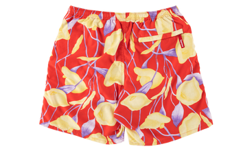 Nylon Water Short 