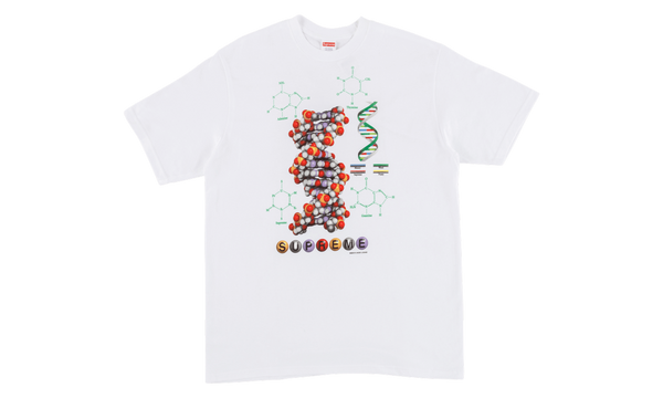 DNA Tee "FW 17"