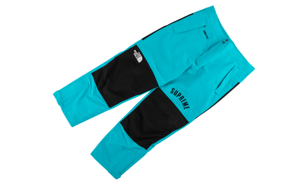 TNF Arc Logo Mountain Pant "SS 19"