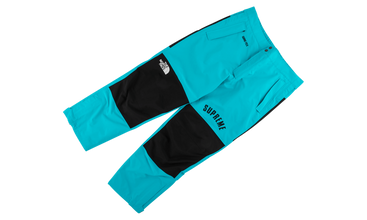 TNF Arc Logo Mountain Pant 