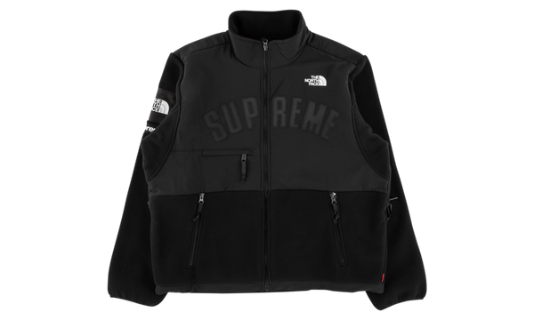 TNF Arc Logo Denali Fleece Jacket "SS 19"