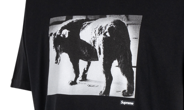 Daido Moriyama Dog Tee 