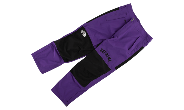 TNF Arc Logo Mountain Pant "SS 19"