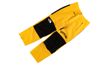 TNF Arc Logo Mountain Pant 