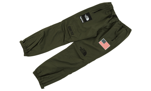 TNF Expedition Pant "Trans Antarctic"