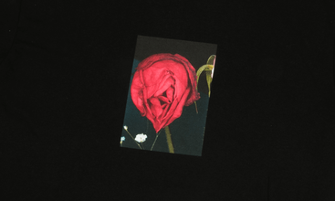 Araki Rose Tee