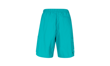 Cargo Water Short 