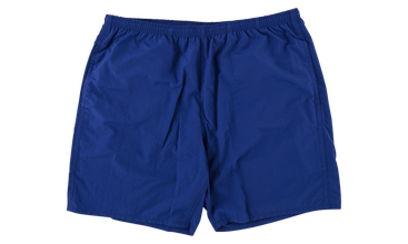 Arc Logo Water Shorts 