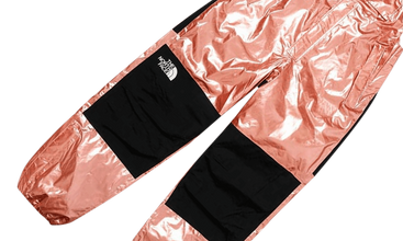 TNF Metallic Bib Pant 